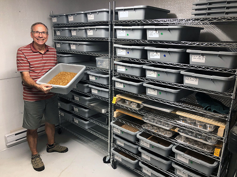 INSECTCIBUS owner Raynald Chartrand holding a tub of dried mealworms